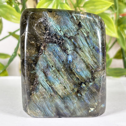 Madagascar Labradorite Freeform 2.5" Polished Crystal Display Stone Blue Flash Specimen
