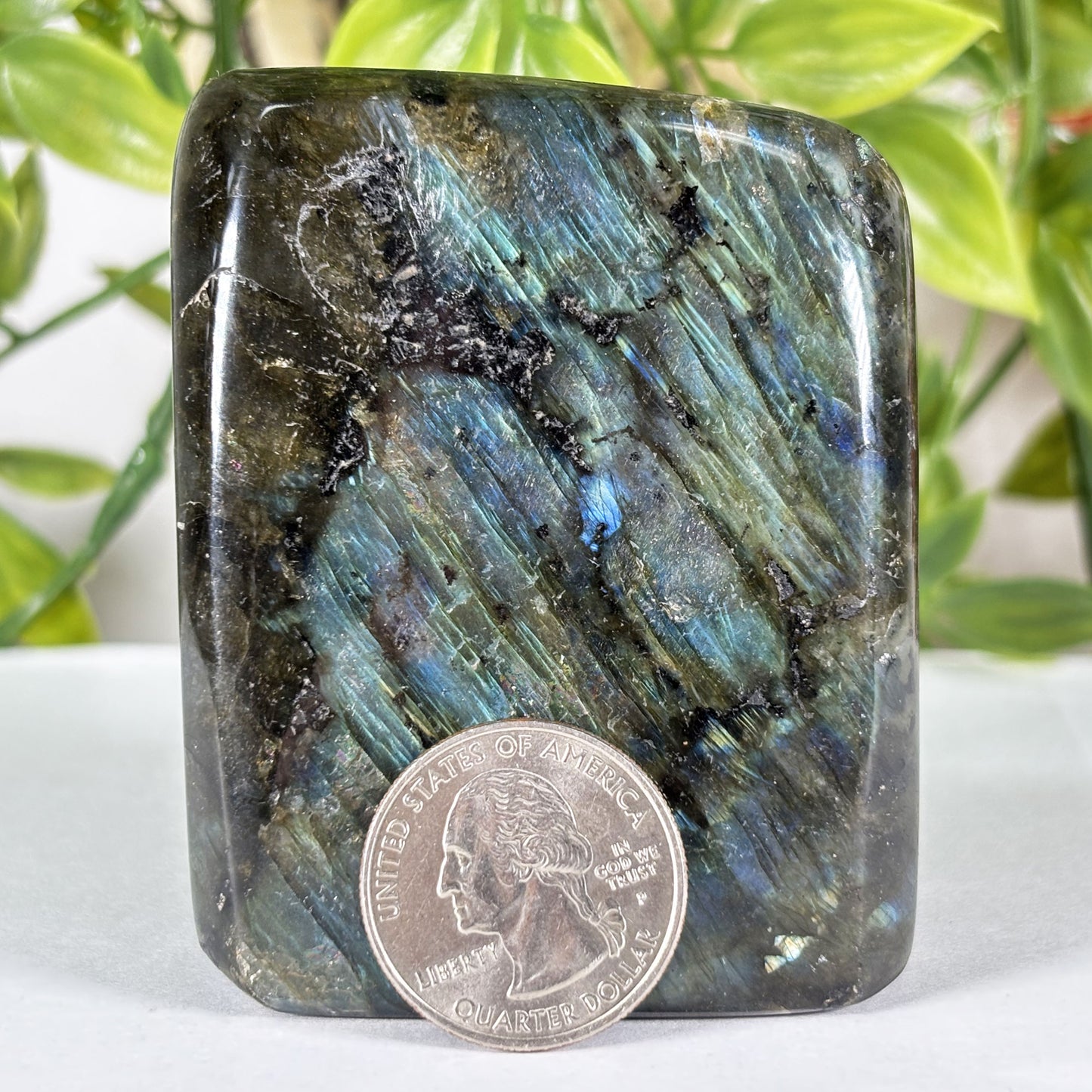 Madagascar Labradorite Freeform 2.5" Polished Crystal Display Stone Blue Flash Specimen