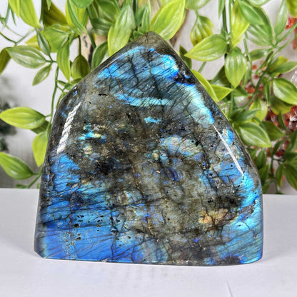 Labradorite Crystal Freeform - Gem Avenue Retail