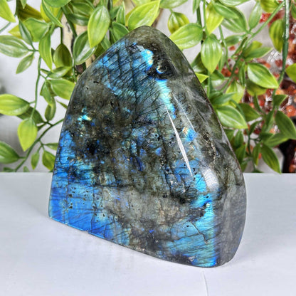 Labradorite Crystal Freeform - Gem Avenue Retail