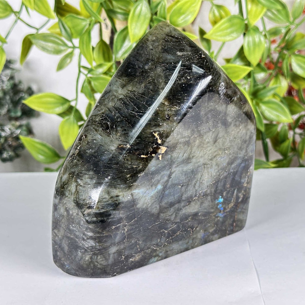 Labradorite Crystal Freeform - Gem Avenue Retail