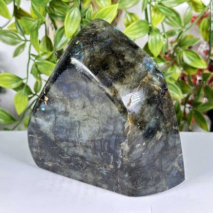 Labradorite Crystal Freeform - Gem Avenue Retail
