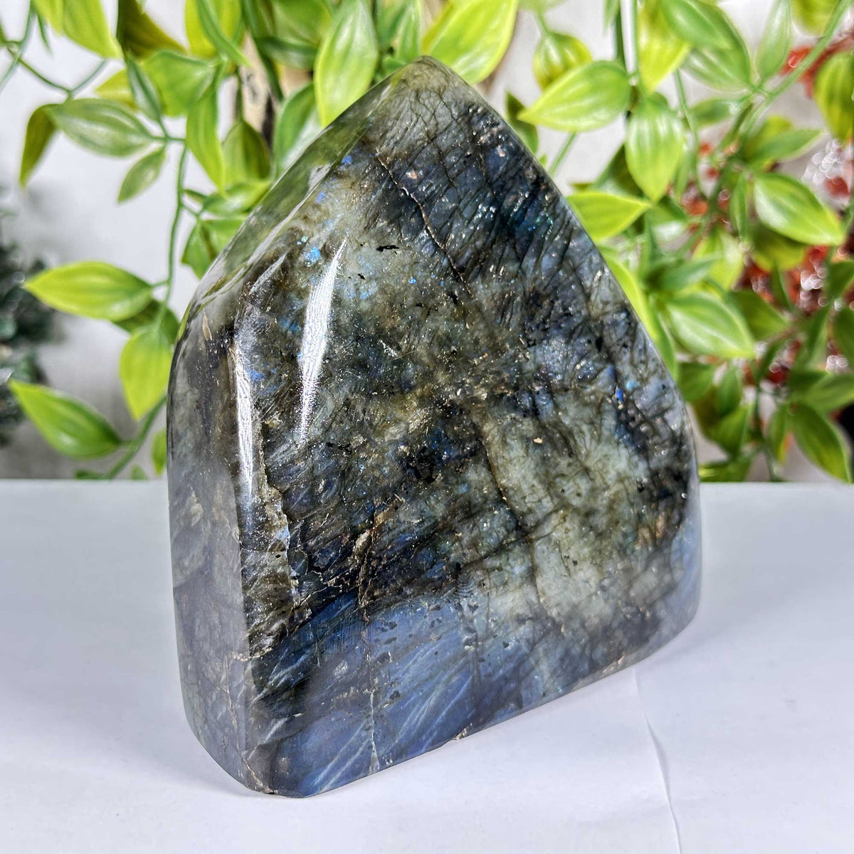 Labradorite Crystal Freeform - Gem Avenue Retail