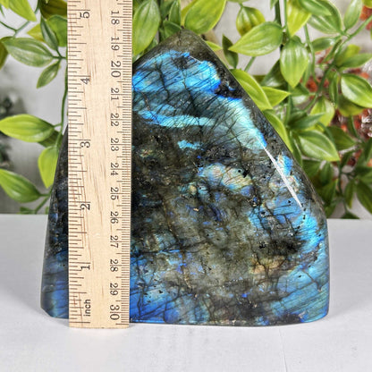 Labradorite Crystal Freeform - Gem Avenue Retail