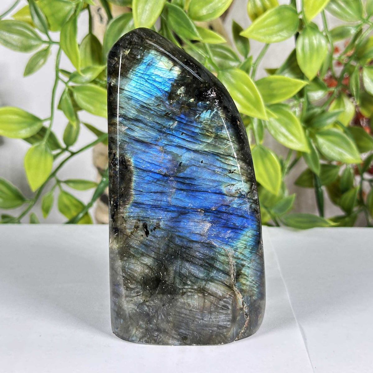 Labradorite Gemstone Freeform - Gem Avenue Retail