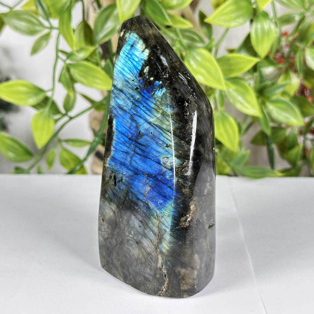 Labradorite Gemstone Freeform - Gem Avenue Retail