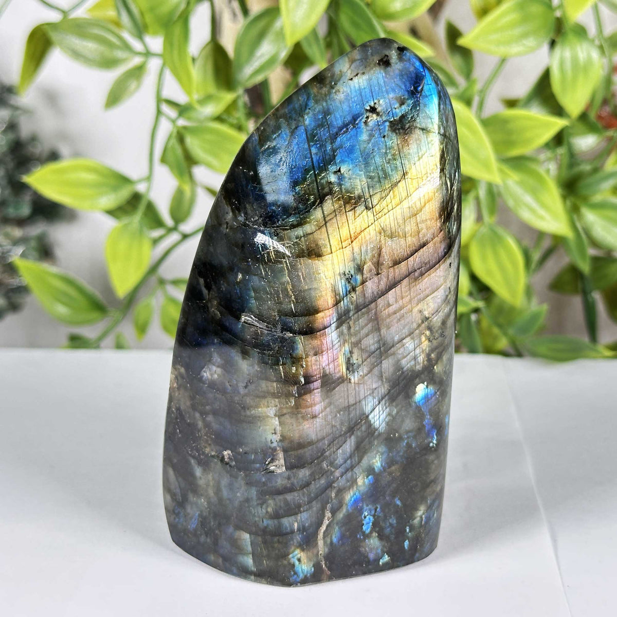 Labradorite Gemstone Freeform - Gem Avenue Retail