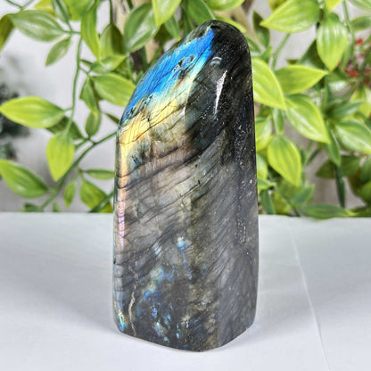 Labradorite Gemstone Freeform - Gem Avenue Retail