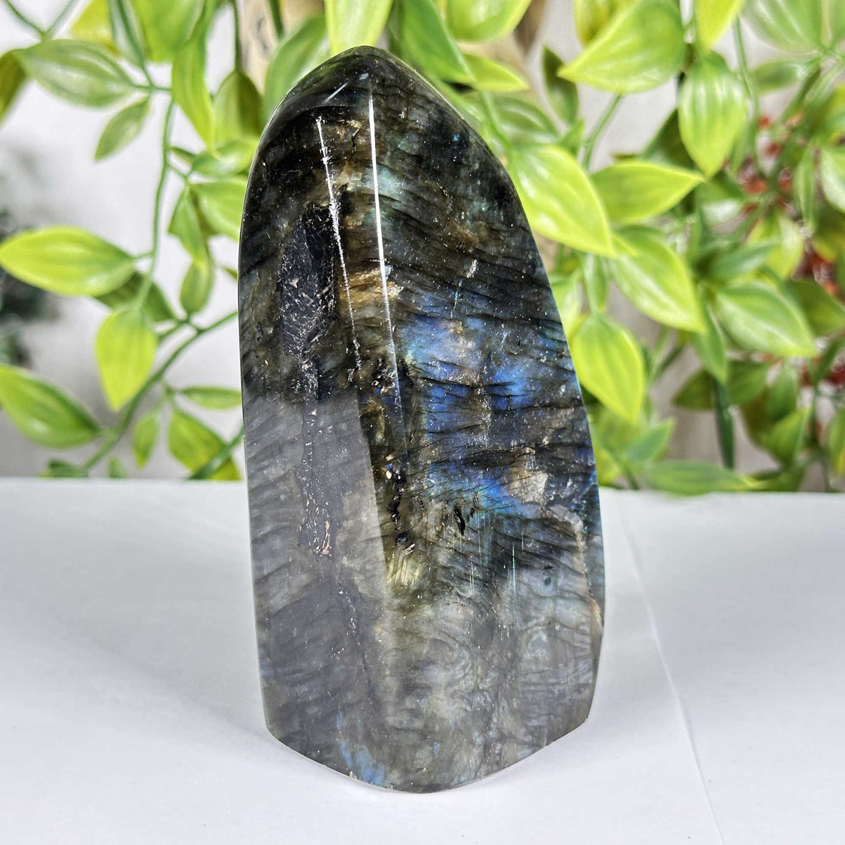 Labradorite Gemstone Freeform - Gem Avenue Retail