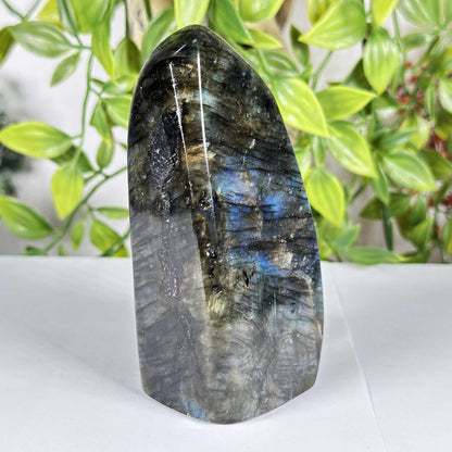 Labradorite Gemstone Freeform - Gem Avenue Retail