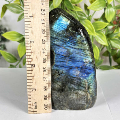 Labradorite Gemstone Freeform - Gem Avenue Retail