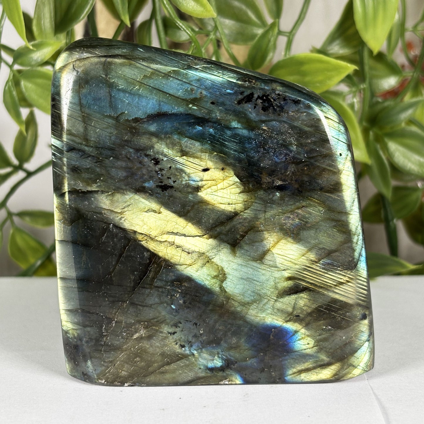 Natural Labradorite Freeform 3.25" Madagascar Blue Gold Flash Polished Crystal Display Specimen
