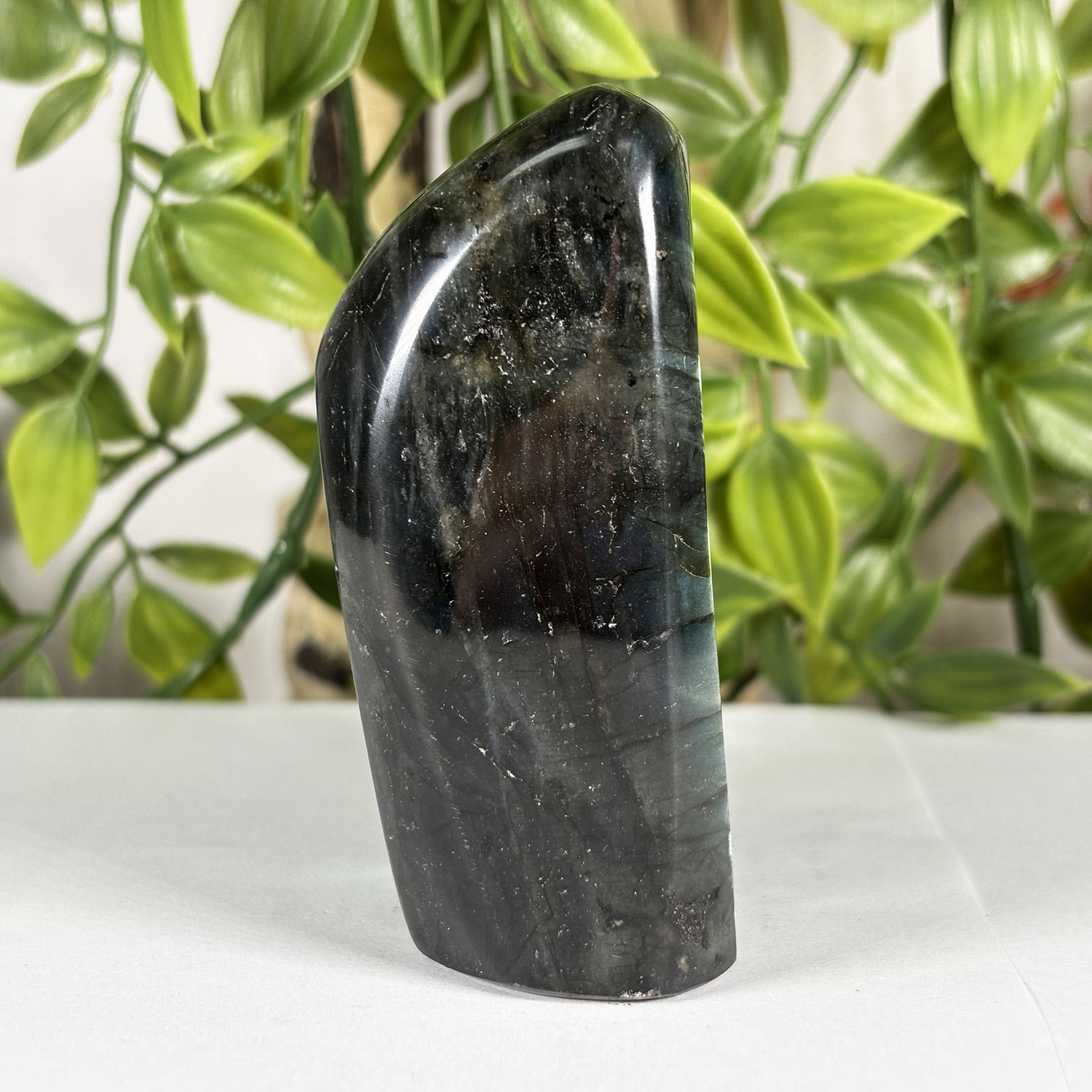 Labradorite Freeform Crystal - Gem Avenue Retail