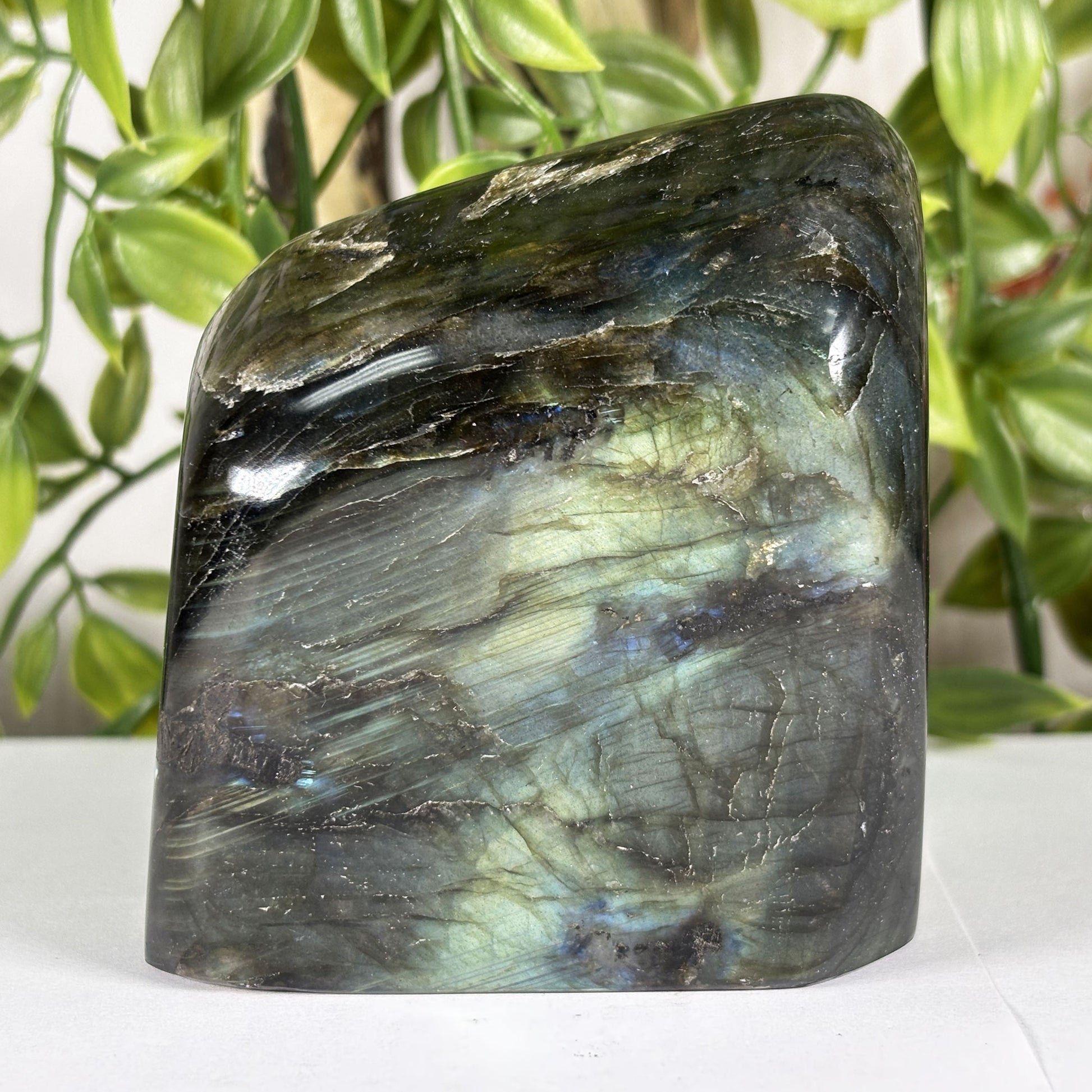 Labradorite Freeform Crystal - Gem Avenue Retail