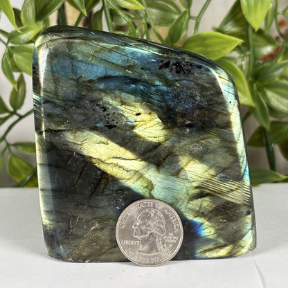 Labradorite Freeform Crystal - Gem Avenue Retail