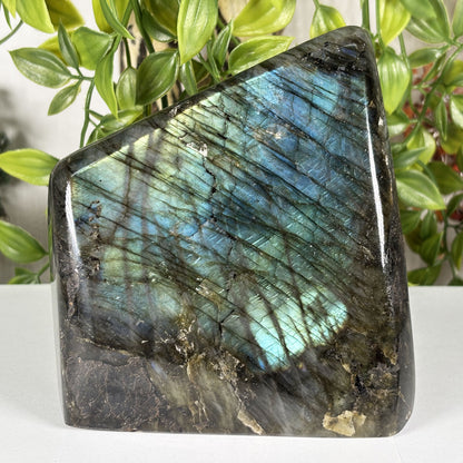 Labradorite Freeform Crystal - Gem Avenue Retail