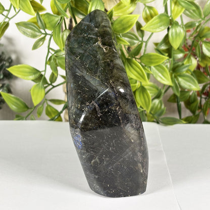 Labradorite Freeform Crystal - Gem Avenue Retail