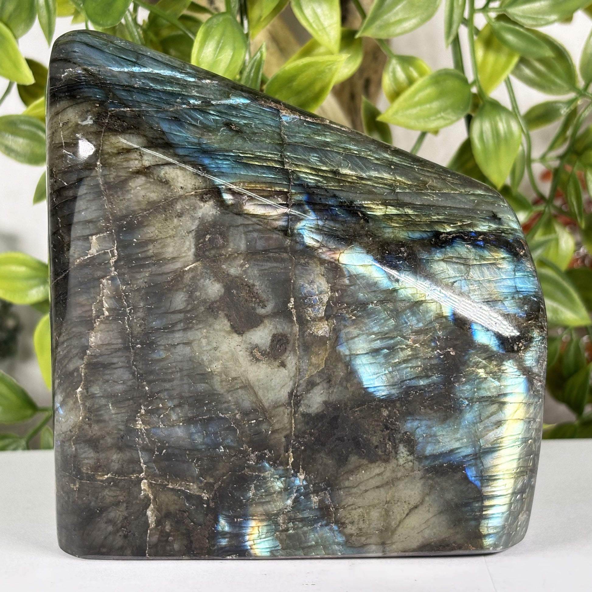 Labradorite Freeform Crystal - Gem Avenue Retail