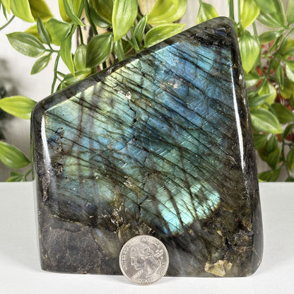 Labradorite Freeform Crystal - Gem Avenue Retail