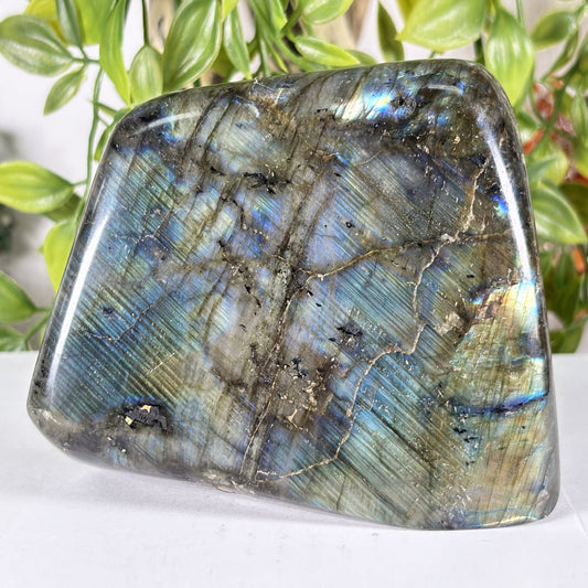 Polished Madagascar Labradorite Freeform 4.5" Large Iridescent Crystal Display Stone