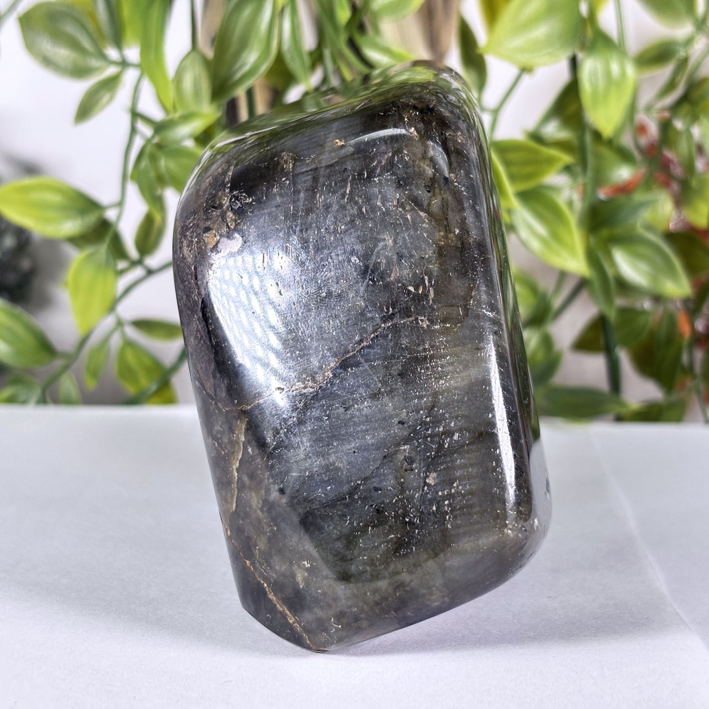 Polished Madagascar Labradorite Freeform 4.5" Large Iridescent Crystal Display Stone