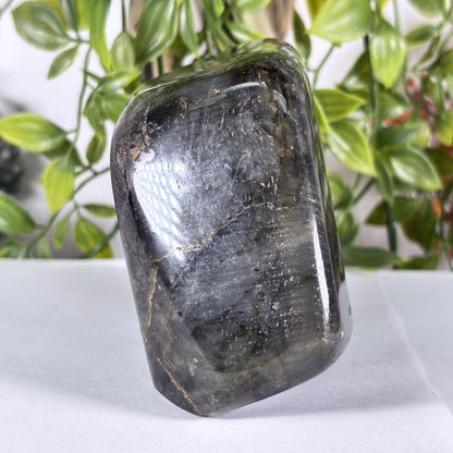 Polished Madagascar Labradorite Freeform 4.5" Large Iridescent Crystal Display Stone