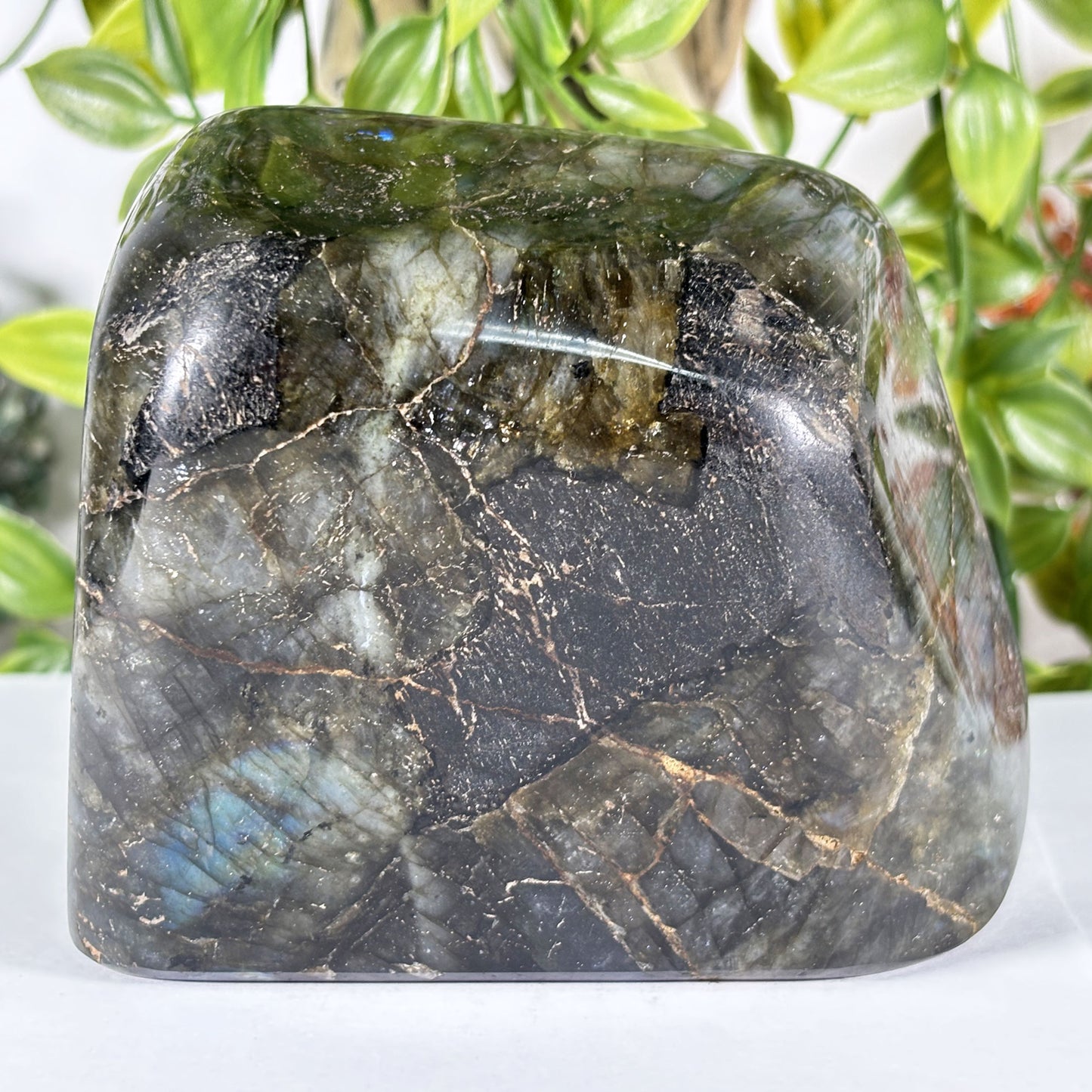 Polished Madagascar Labradorite Freeform 4.5" Large Iridescent Crystal Display Stone