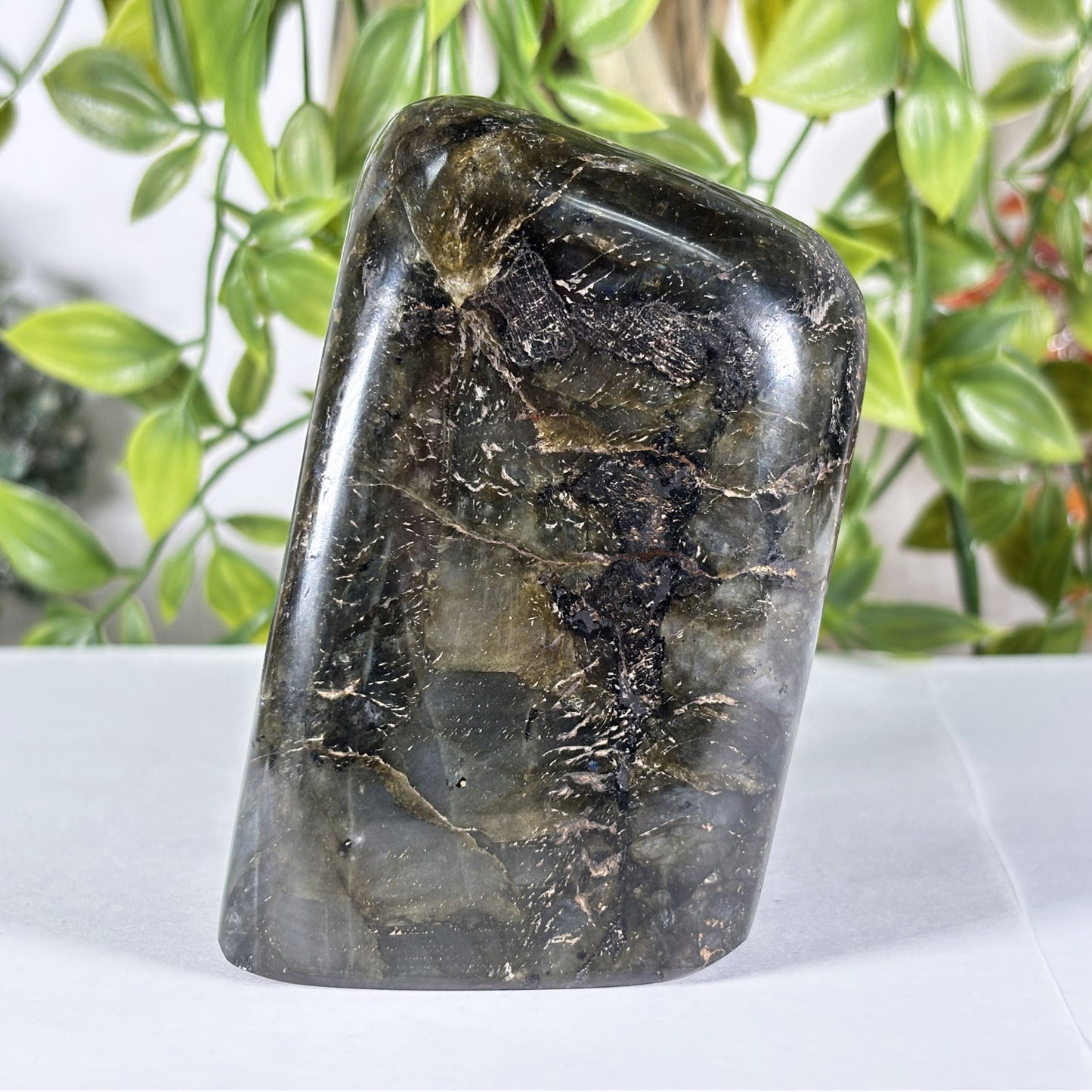 Polished Madagascar Labradorite Freeform 4.5" Large Iridescent Crystal Display Stone