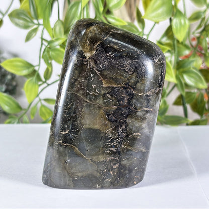 Polished Madagascar Labradorite Freeform 4.5" Large Iridescent Crystal Display Stone