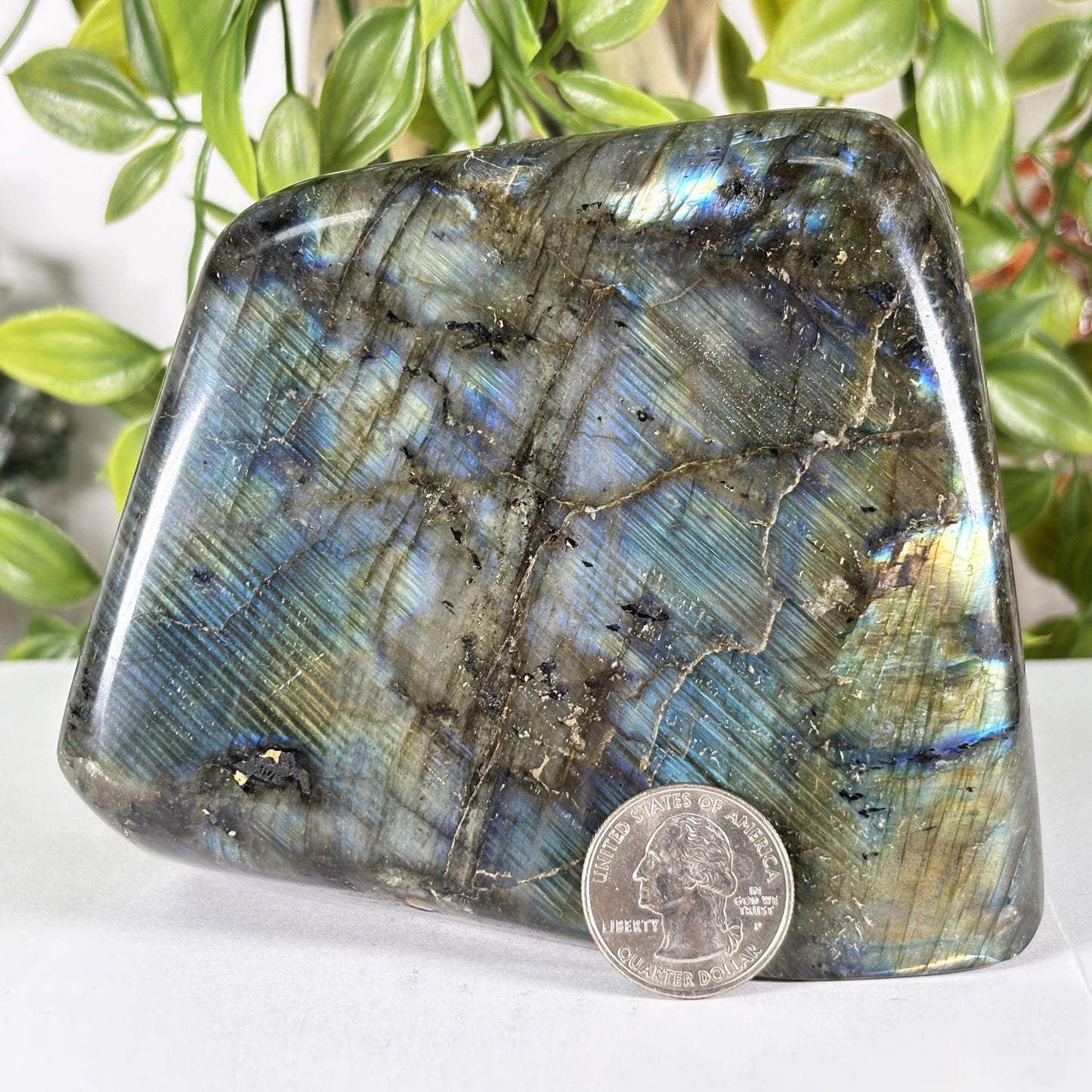 Polished Madagascar Labradorite Freeform 4.5" Large Iridescent Crystal Display Stone