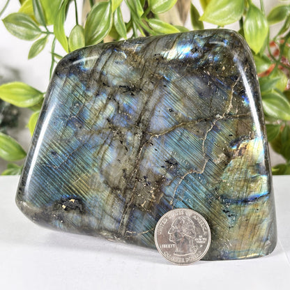 Polished Madagascar Labradorite Freeform 4.5" Large Iridescent Crystal Display Stone