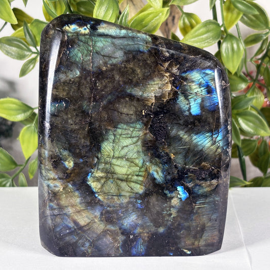 Large Madagascar Labradorite Freeform 4.5" Polished Iridescent Crystal Display Stone