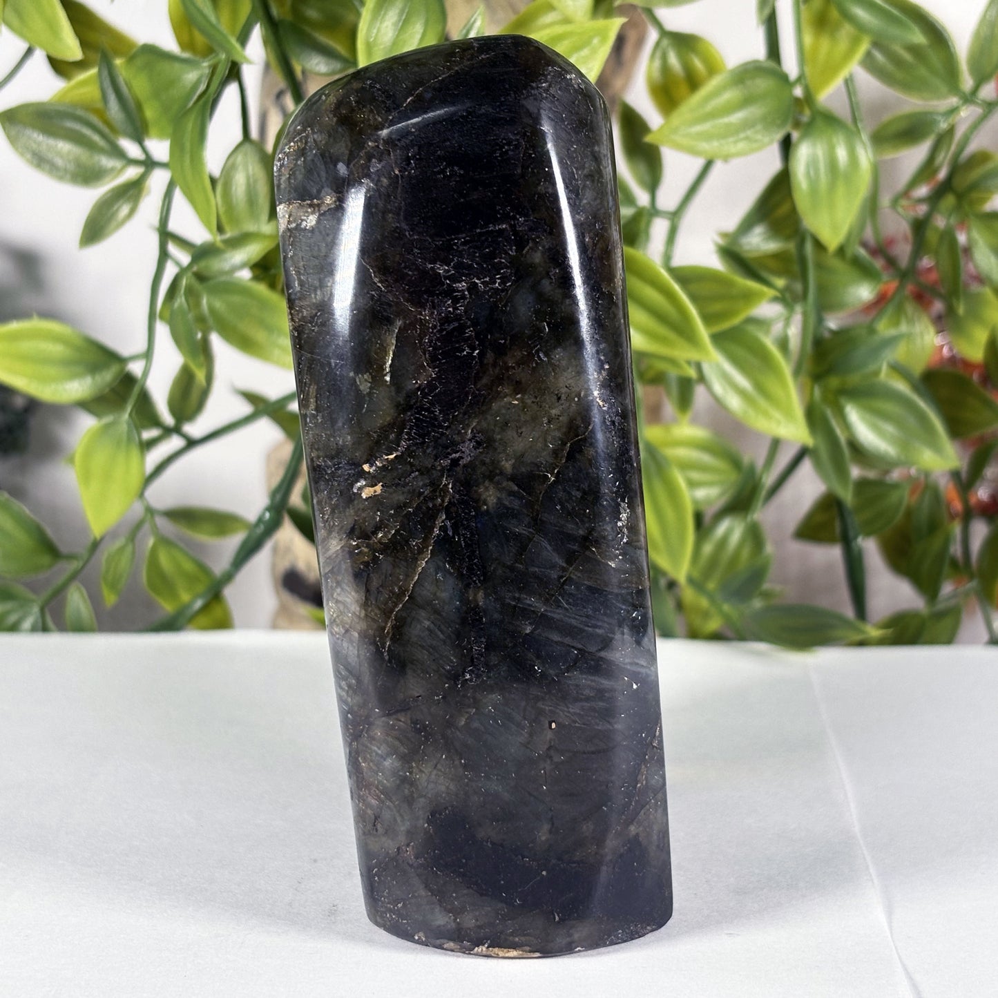 Large Madagascar Labradorite Freeform 4.5" Polished Iridescent Crystal Display Stone