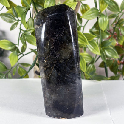 Large Madagascar Labradorite Freeform 4.5" Polished Iridescent Crystal Display Stone