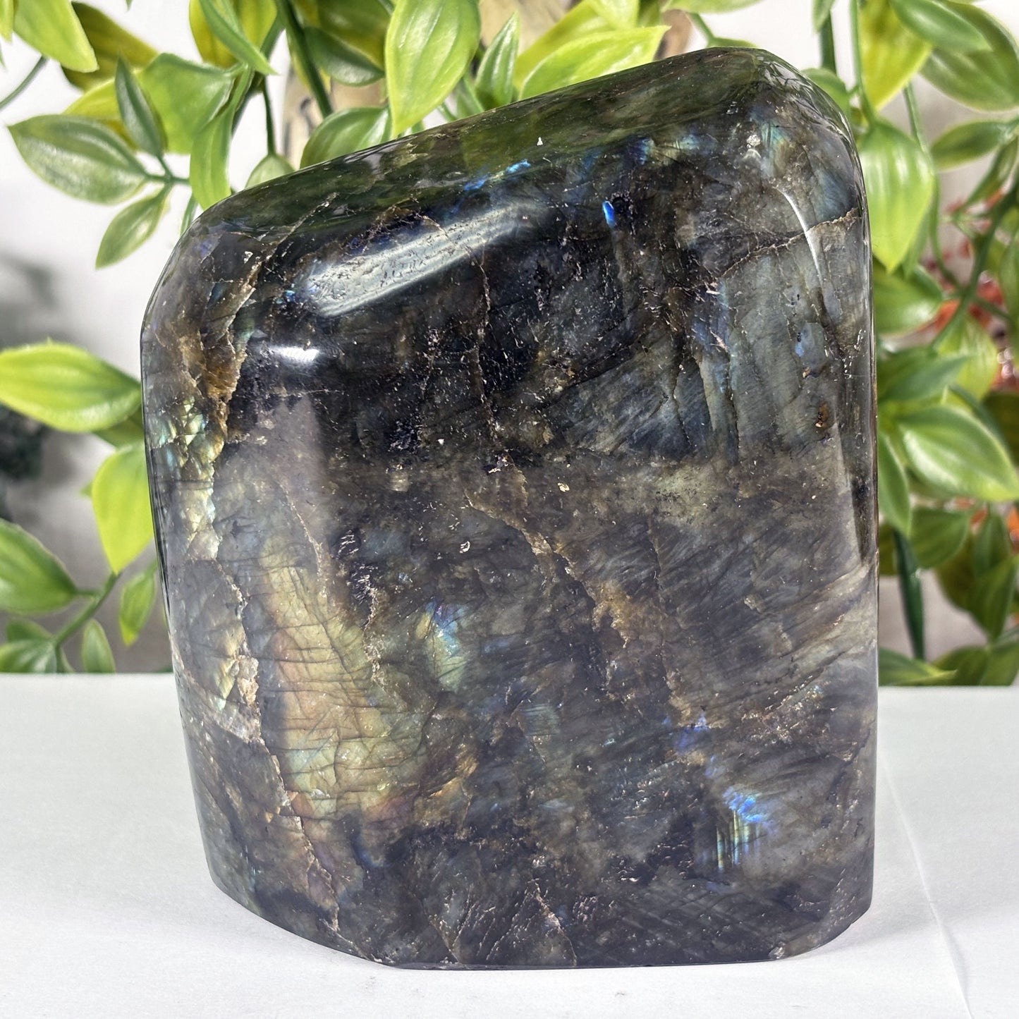 Large Madagascar Labradorite Freeform 4.5" Polished Iridescent Crystal Display Stone