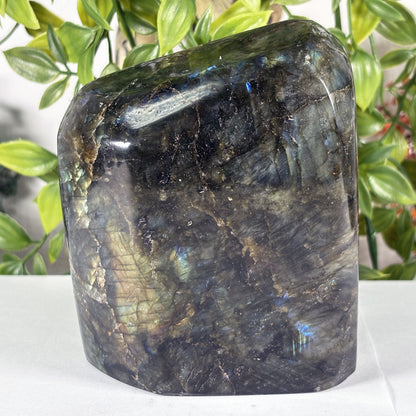 Large Madagascar Labradorite Freeform 4.5" Polished Iridescent Crystal Display Stone