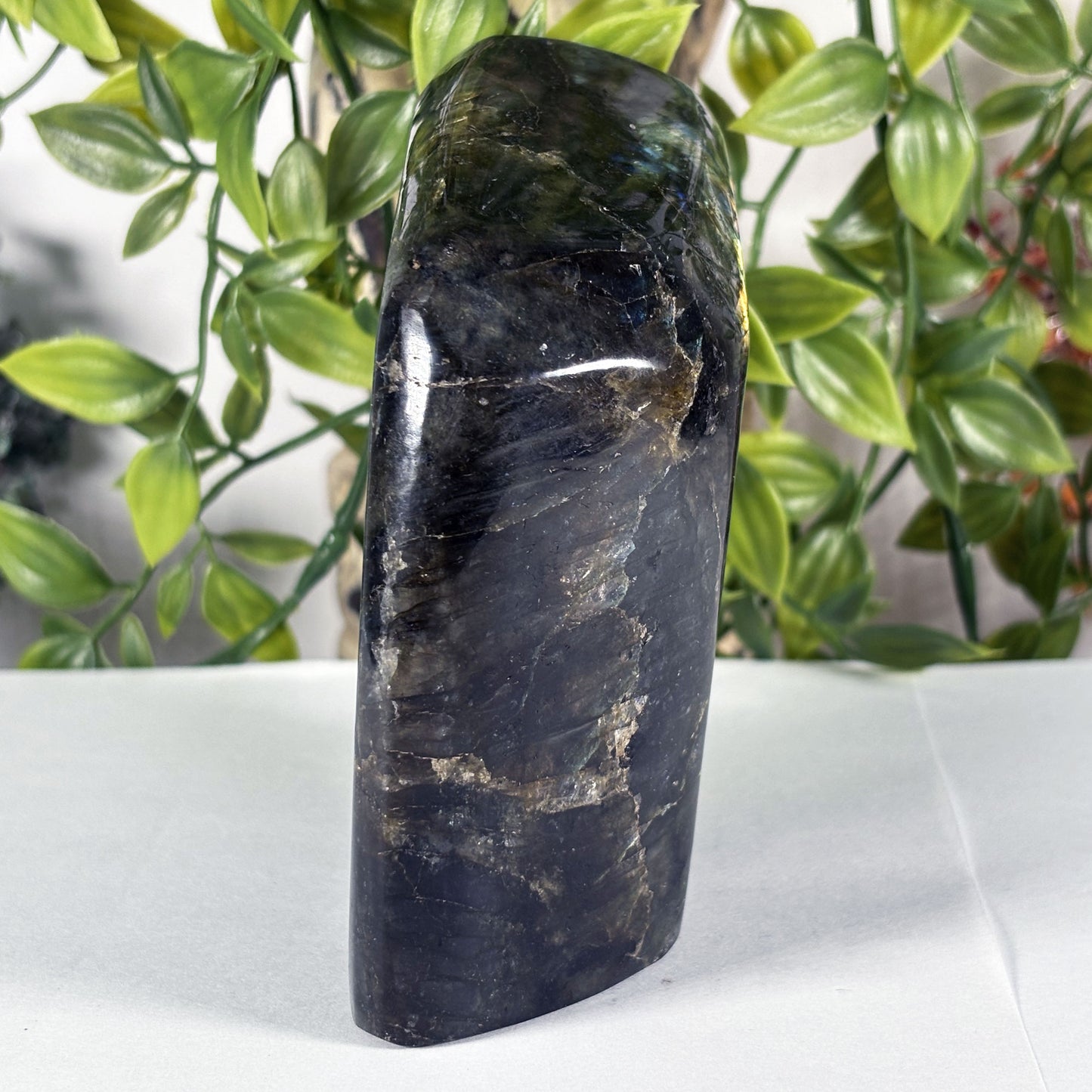 Large Madagascar Labradorite Freeform 4.5" Polished Iridescent Crystal Display Stone