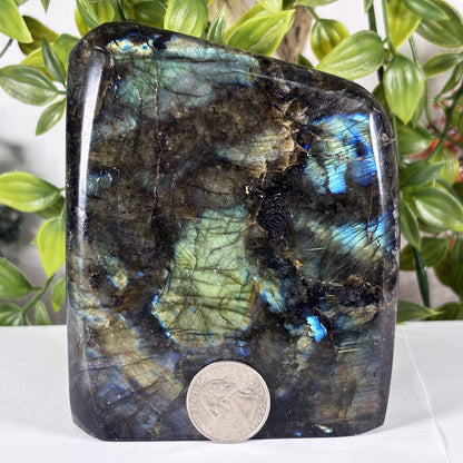 Large Madagascar Labradorite Freeform 4.5" Polished Iridescent Crystal Display Stone