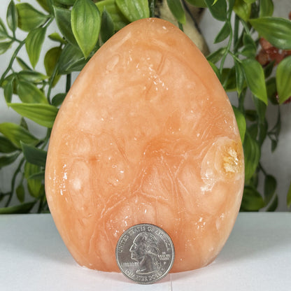 Orange Calcite Freeform Polished Crystal from Madagascar Natural Healing Decor Stone