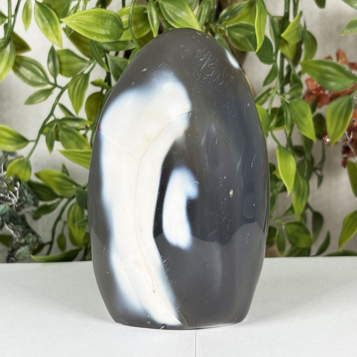 Orca Agate Gemstone Freeform - Gem Avenue Retail