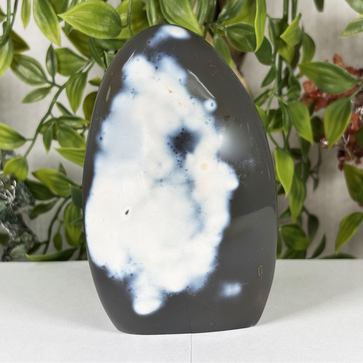 Orca Agate Gemstone Freeform - Gem Avenue Retail