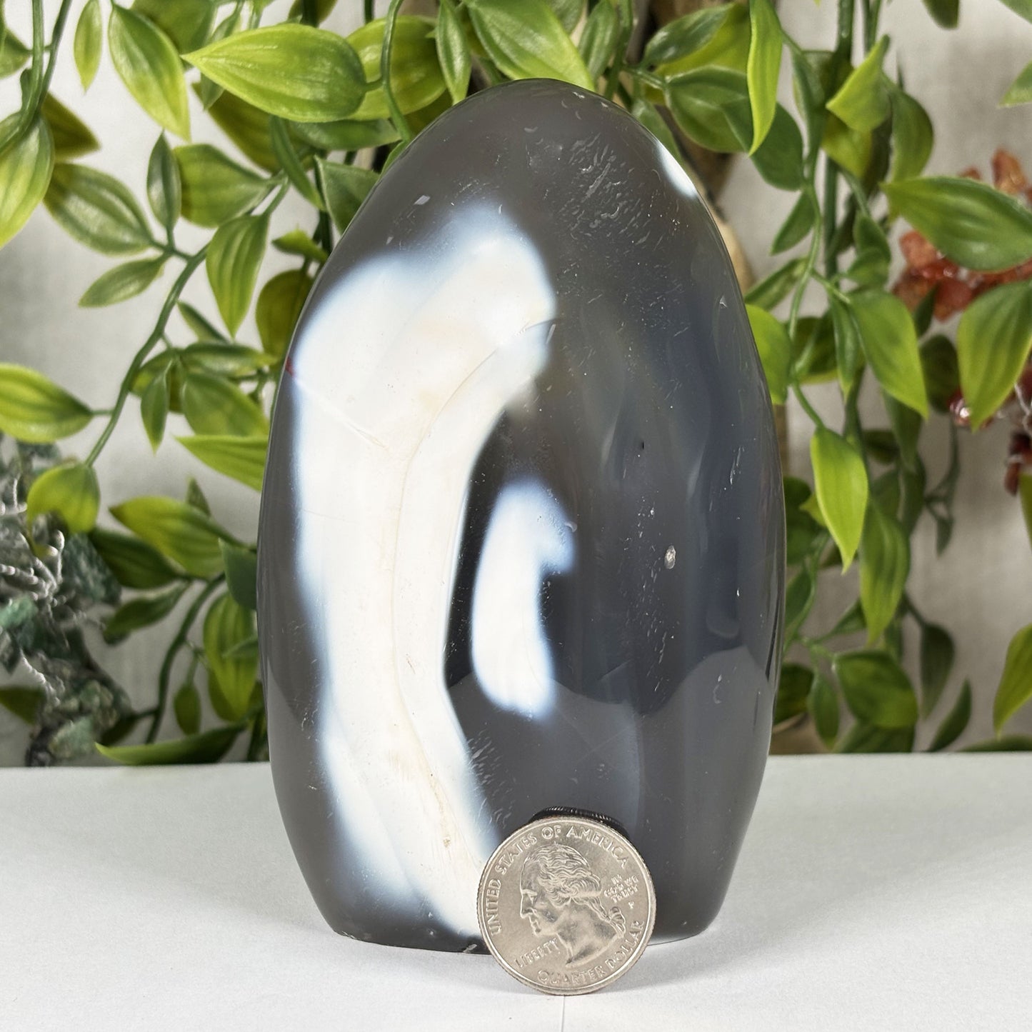 Orca Agate Gemstone Freeform - Gem Avenue Retail