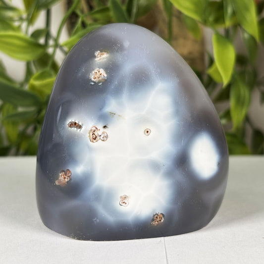Orca Agate Freeform Polished Crystal from Madagascar Natural Healing Stone