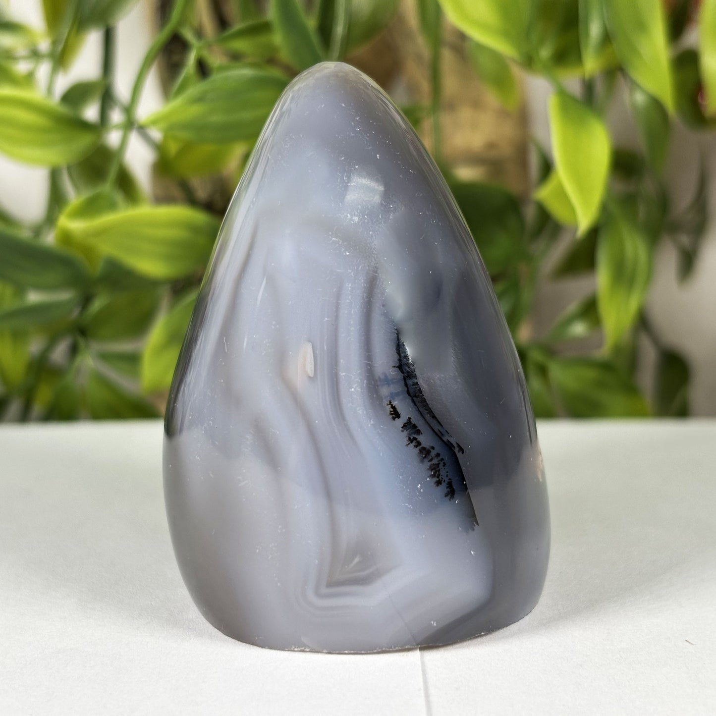 Orca Agate Freeform Polished Crystal from Madagascar Natural Healing Stone