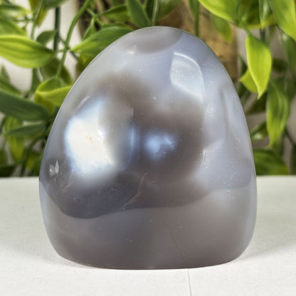 Orca Agate Freeform Polished Crystal from Madagascar Natural Healing Stone