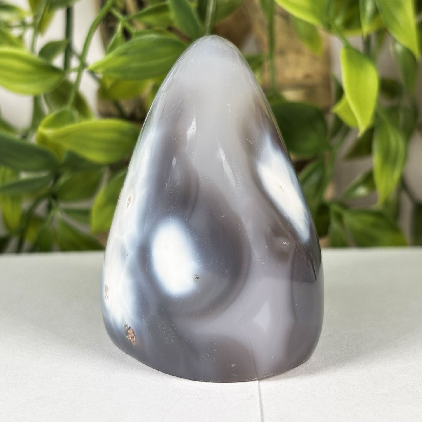 Orca Agate Freeform Polished Crystal from Madagascar Natural Healing Stone
