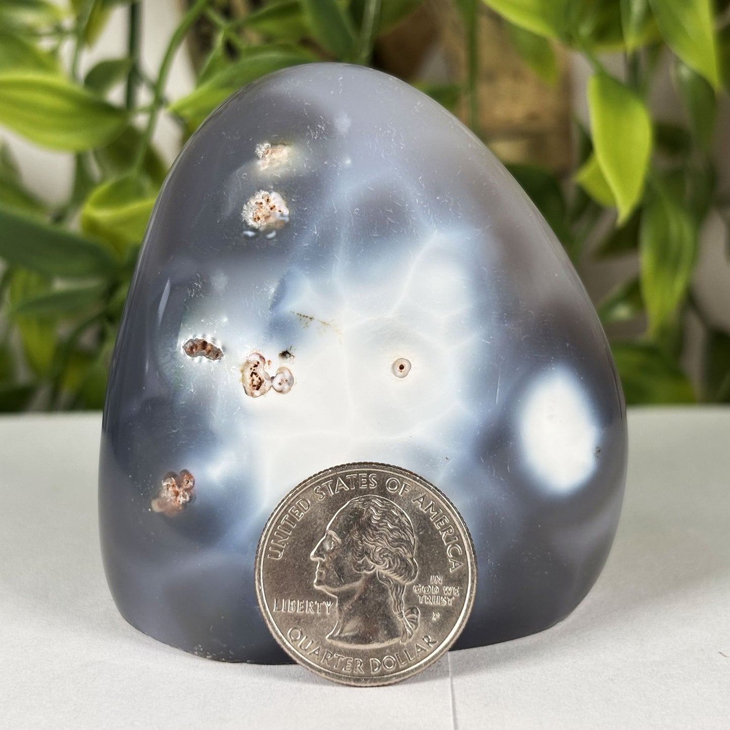 Orca Agate Freeform Polished Crystal from Madagascar Natural Healing Stone