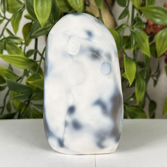 Orca Agate Crystal Freeform - Gem Avenue Retail
