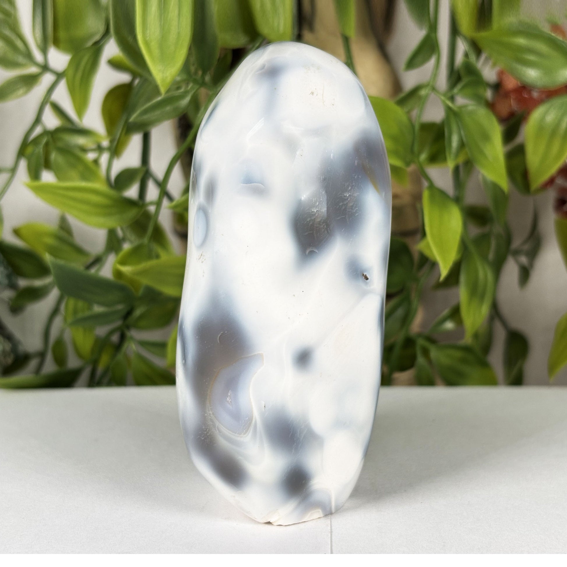 Orca Agate Crystal Freeform- Gem Avenue Retail