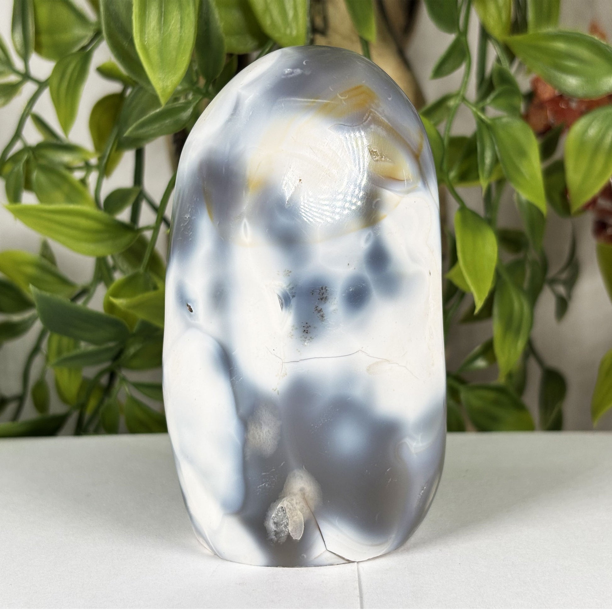 Orca Agate Crystal Freeform- Gem Avenue Retail